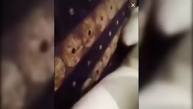 Azgın Türk kızı kameraya yakaladım.